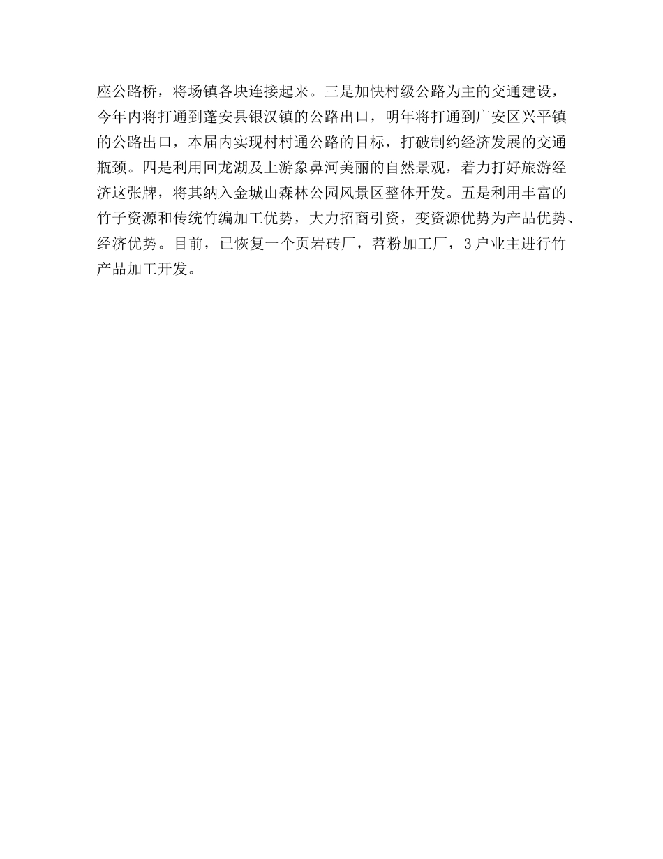 《乡镇党委书记风采》读后感 _第3页