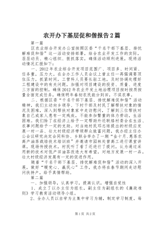 农开办下基层促和偕报告2篇