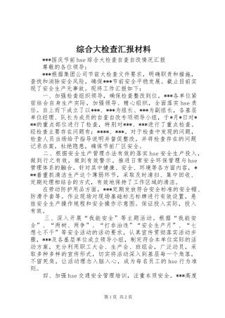 综合大检查汇报材料 