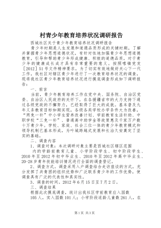 村青少年教育培养状况调研报告 