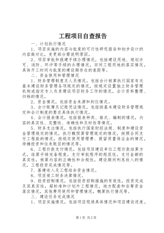 工程项目自查报告 