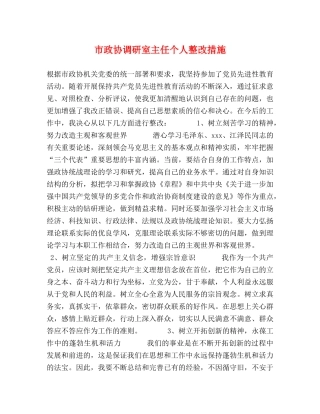 市政协调研室主任个人整改措施2 