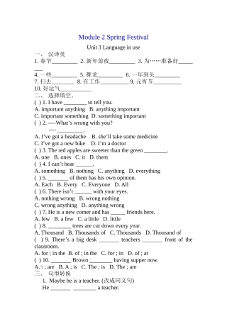 module 2《spring festival》unit 3 单元检测（外研社七年级下）doc--初中英语 