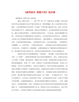 《破网拔伞 雷霆万钧》观后感 