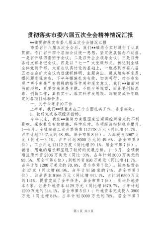 贯彻落实市委六届五次全会精神情况汇报 