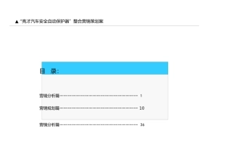 “亮才汽车安全自动保护器”整合营销策划案