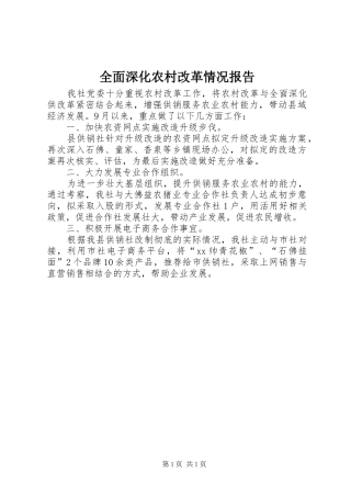 全面深化农村改革情况报告 
