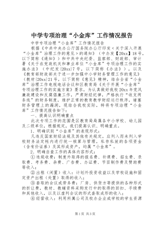 中学专项治理“小金库”工作情况报告 