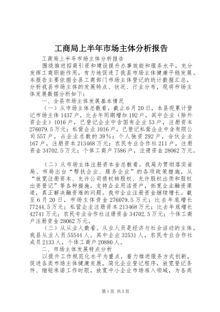 工商局上半年市场主体分析报告 