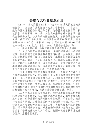 县银行支行总结及计划