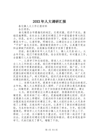 20XX年人大调研汇报 