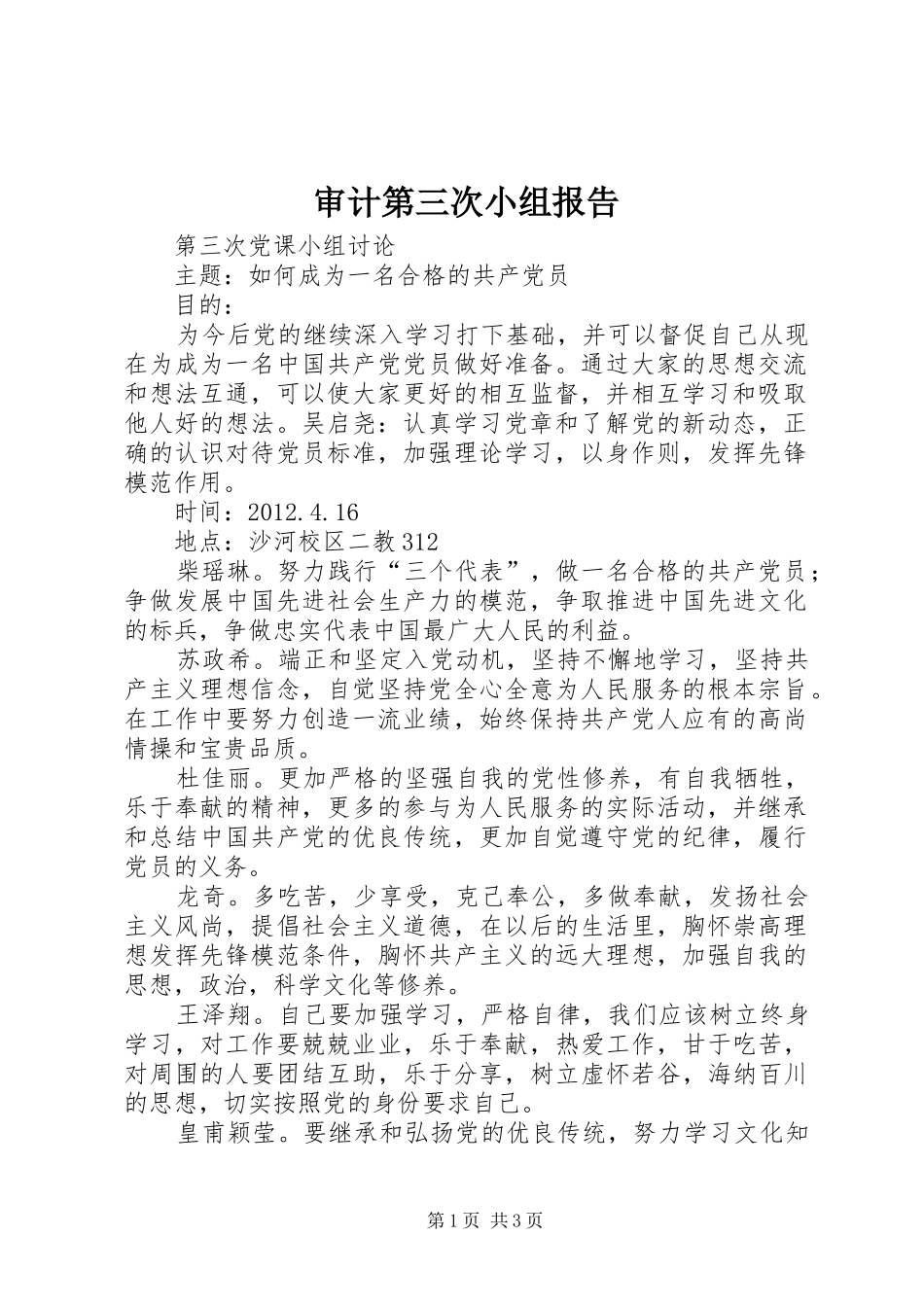 审计第三次小组报告 _第1页