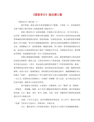 《国家审计》观后感2篇2 