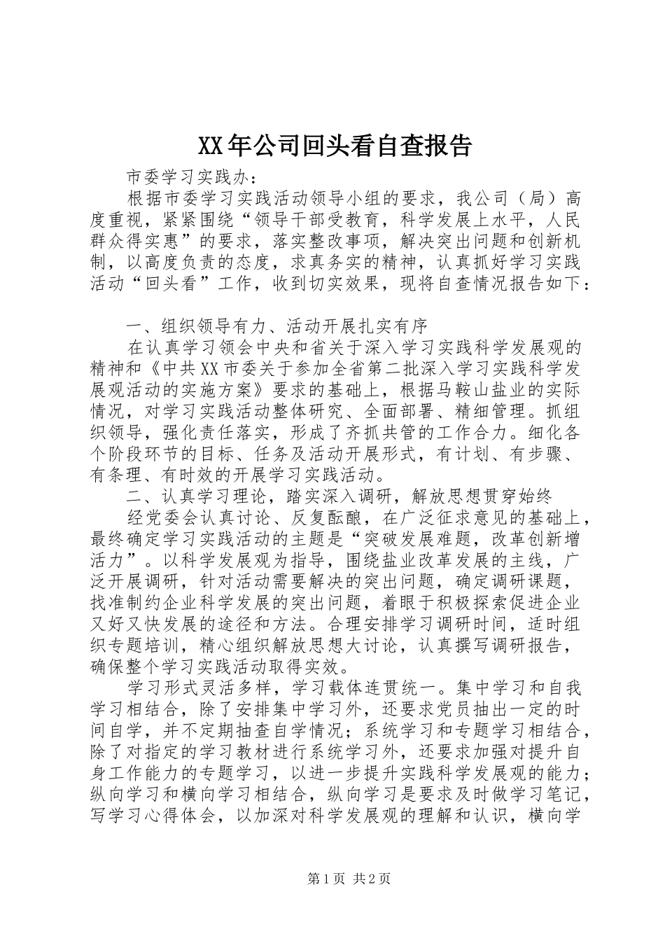 XX年公司回头看自查报告 _第1页