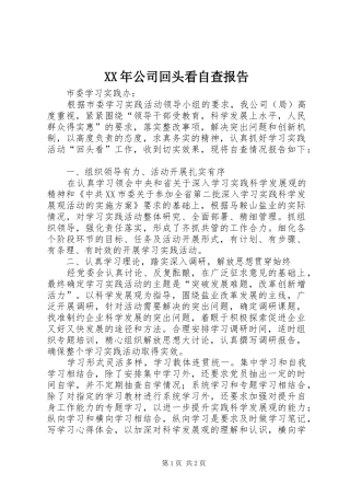 XX年公司回头看自查报告 