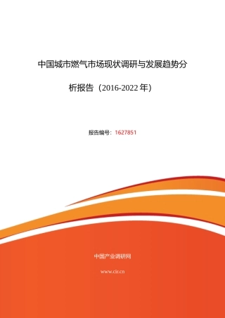 XXXX年城市燃气发展现状及市场前景分析