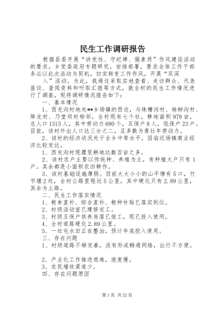 民生工作调研报告 