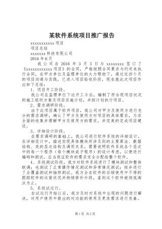 某软件系统项目推广报告 
