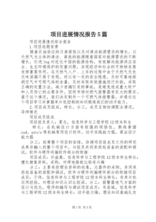 项目进展情况报告5篇 