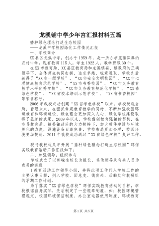 龙溪铺中学少年宫汇报材料五篇 