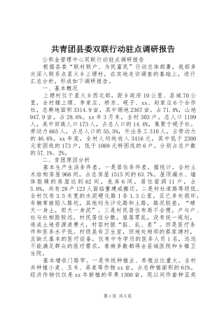 共青团县委双联行动驻点调研报告 