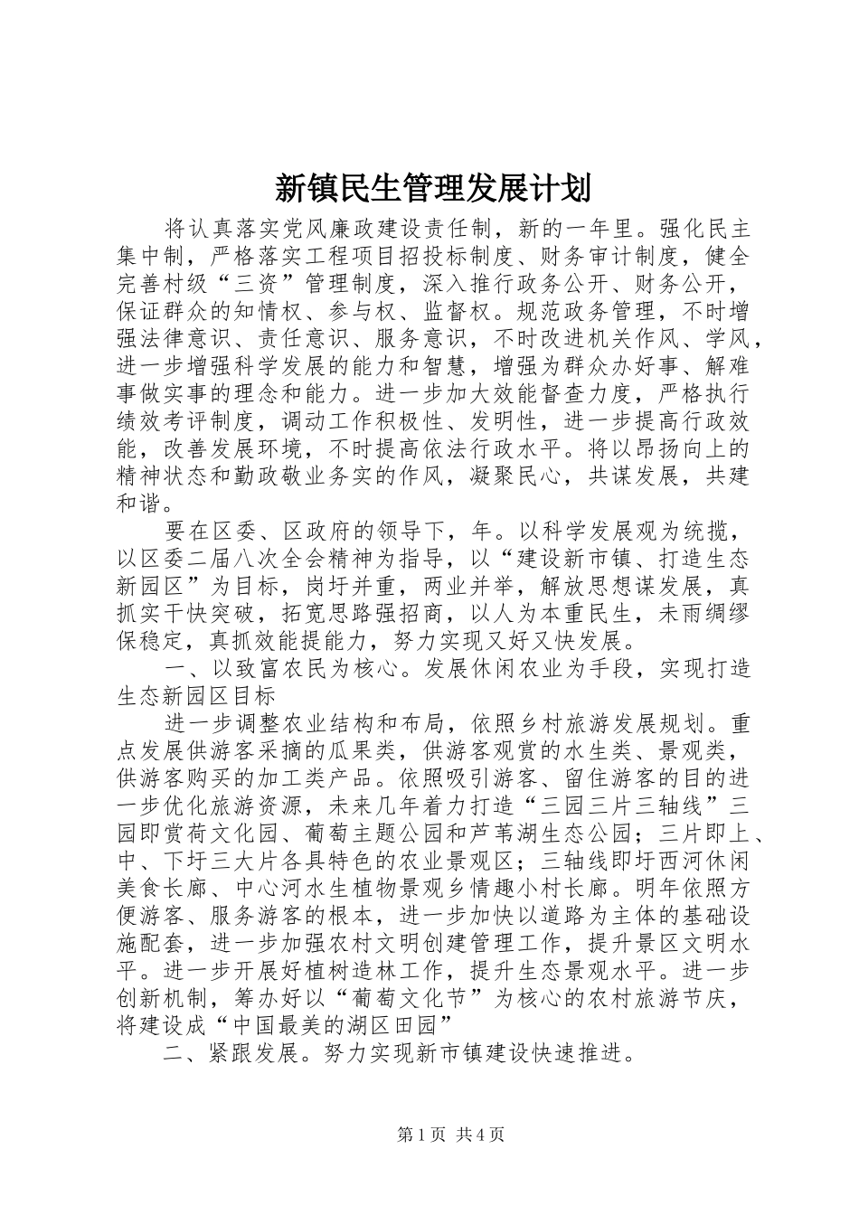 新镇民生管理发展计划_第1页