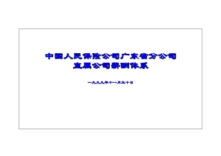 某某直属公司薪酬体系