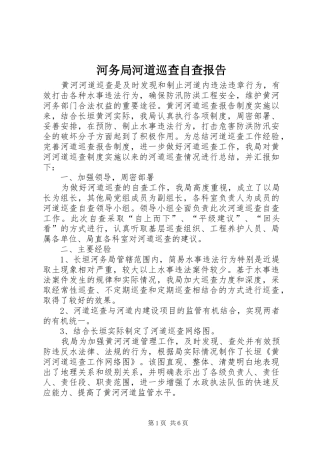 河务局河道巡查自查报告 