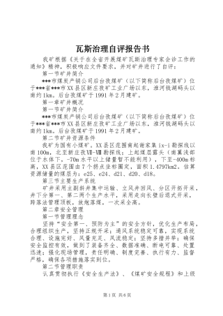 瓦斯治理自评报告书 