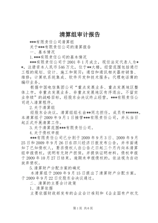 清算组审计报告 