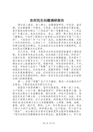农村民生问题调研报告 