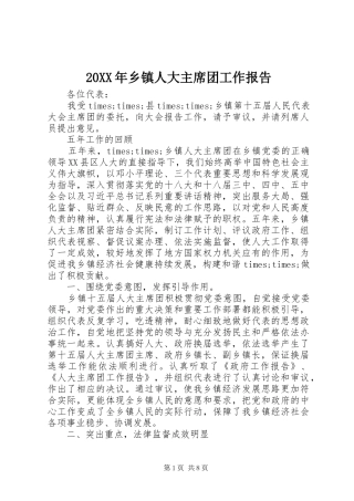 20XX年乡镇人大主席团工作报告