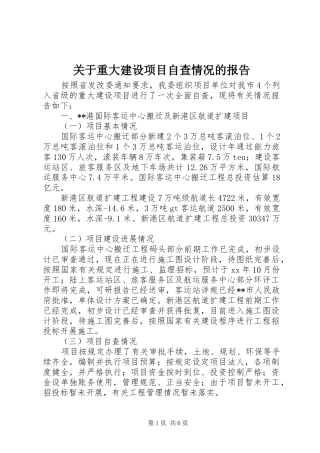 关于重大建设项目自查情况的报告 