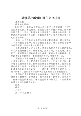 县领导小城镇汇报(3月23日) (3)