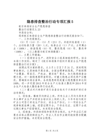隐患排查整治行动专项汇报5 