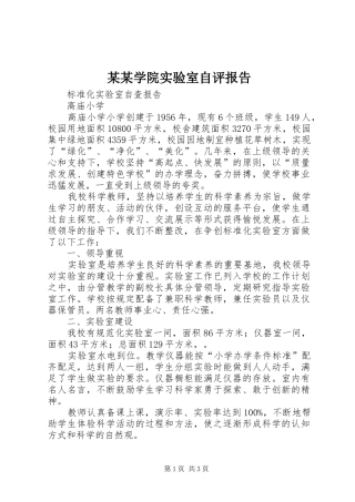 某某学院实验室自评报告 