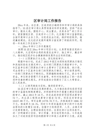 区审计局工作报告 