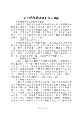 关于秸秆禁烧调研报告(精) 