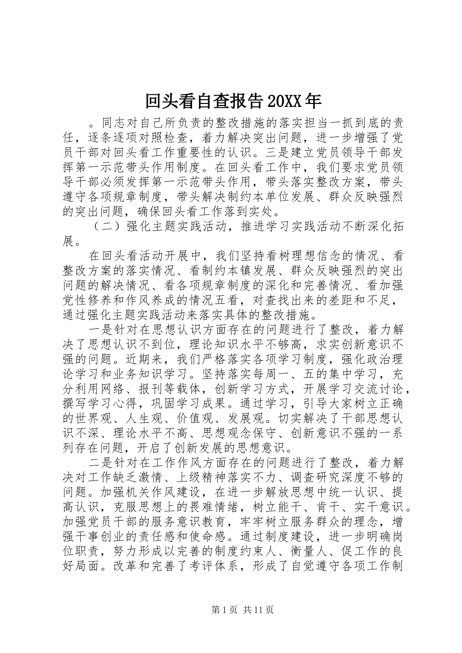 回头看自查报告20XX年_第1页