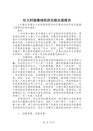 壮大村级集体经济自检自查报告 