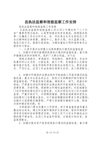 县执法监察和效能监察工作安排