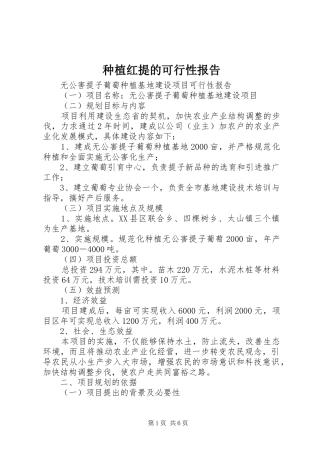 种植红提的可行性报告1 