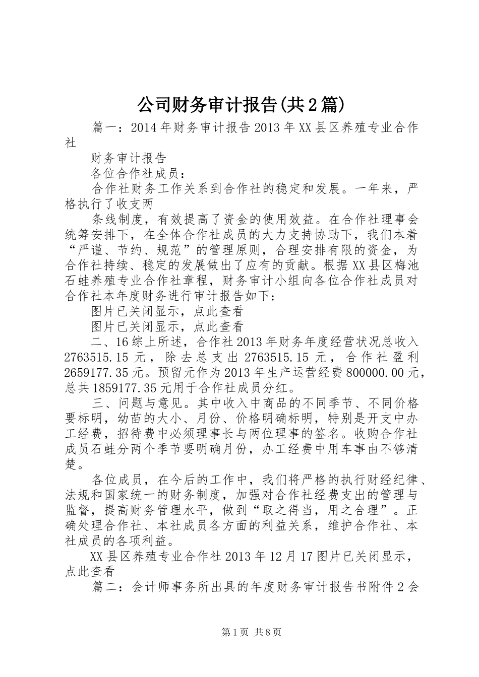 公司财务审计报告(共2篇) (3)_第1页