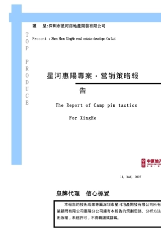 星河惠阳房地产营销策略报告专案