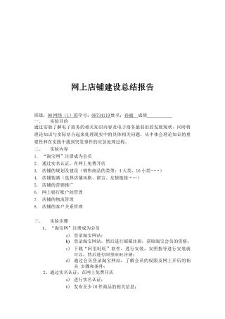 关于网上店铺建设的总结报告