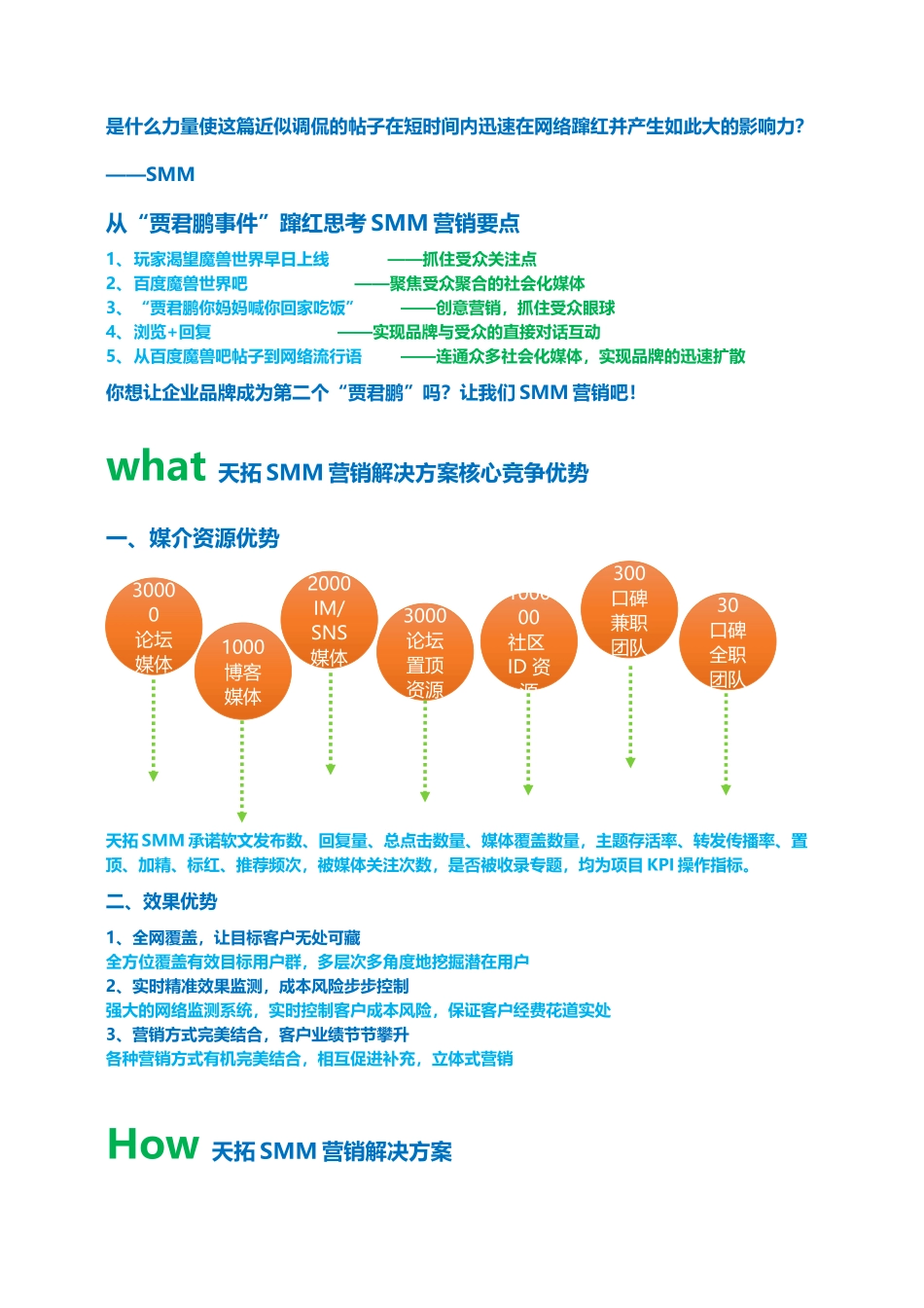 SMM营销解决方案_第2页