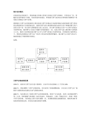 天然气价格政策(42页)