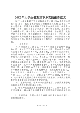 20XX年大学生暑期三下乡实践报告范文