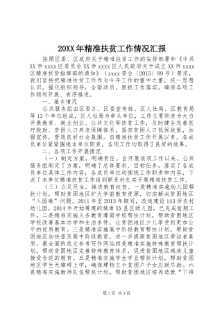 20XX年精准扶贫工作情况汇报 (3)