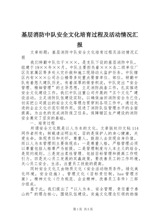 基层消防中队安全文化培育过程及活动情况汇报 